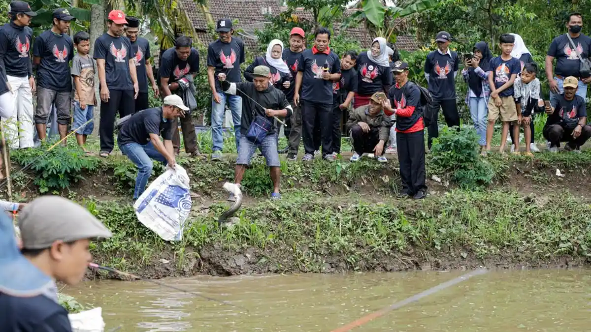 Pehobi Mancing di Banyubiru Rayakan Tahun Baru dengan Lomba Pancing Lele
