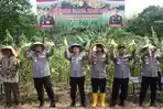 Kapolda-Kepri-dan-Kapolresta-Barelang-panen-raya-Jagung-di-kebun-Tembesi-Lama.jpg
