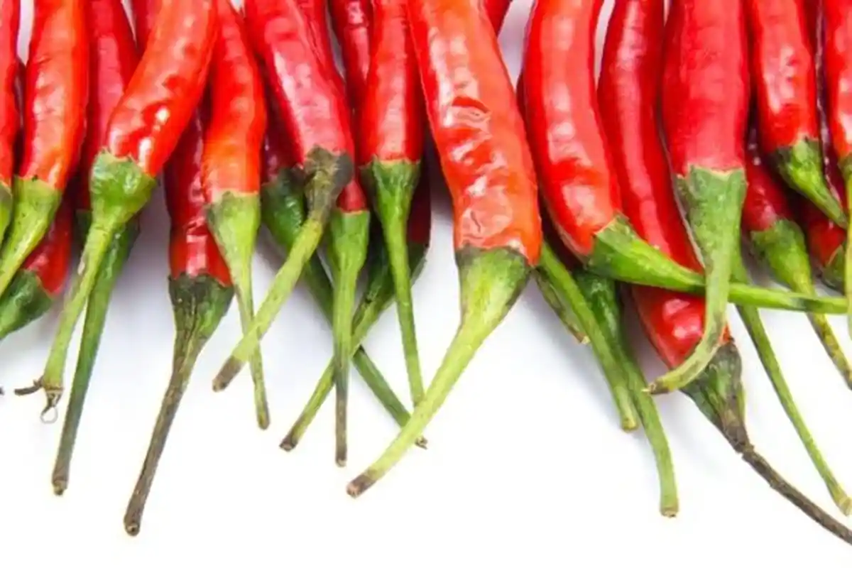 Sering Dibuang, Tangkai Cabai Ternyata Punya Beragam Manfaat