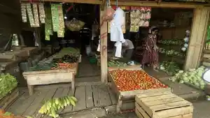 tomat-empat-lawang.jpg