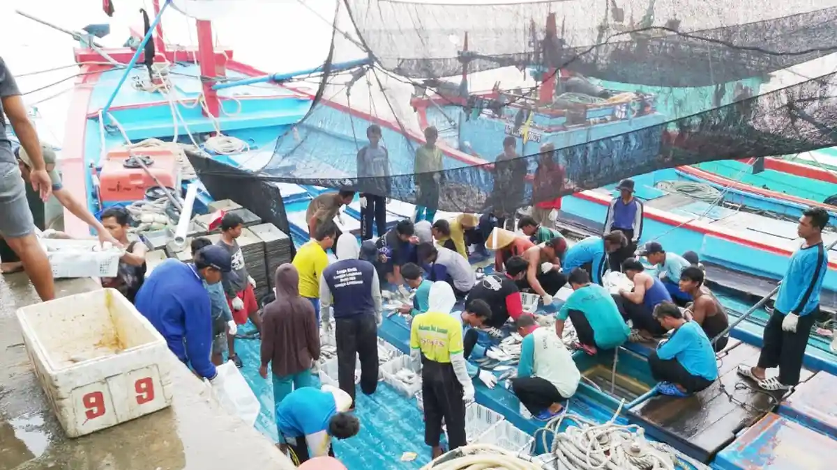 PPI Kotabaru Mulai Aktif Lagi, Pasokan Ikan Semakin Mudah Didapatkan