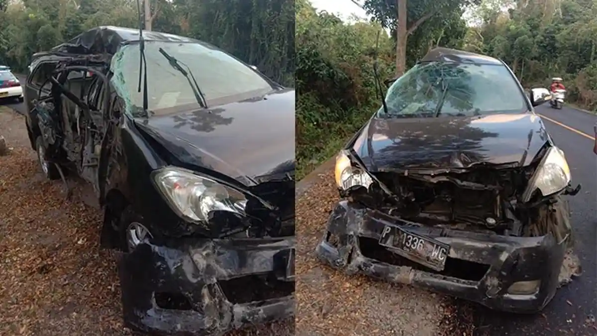 Diduga Mengantuk, Pengemudi Innova Tewas Tabrak Pohon di Jalan Denpasar-Gilimanuk