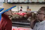 7 Kelompok Peternak Ayam Dapat Bantuan Pemkot Tasikmalaya dan Bank Indonesia, via Program Paranje