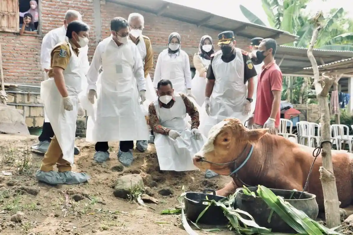 Mentan SYL Jelaskan Soal Kondisi PMK Hewan Ternak