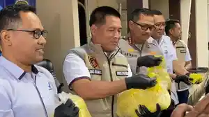 petugas-menunjukkan-tekstur-mi-basah-barang-bukti.jpg