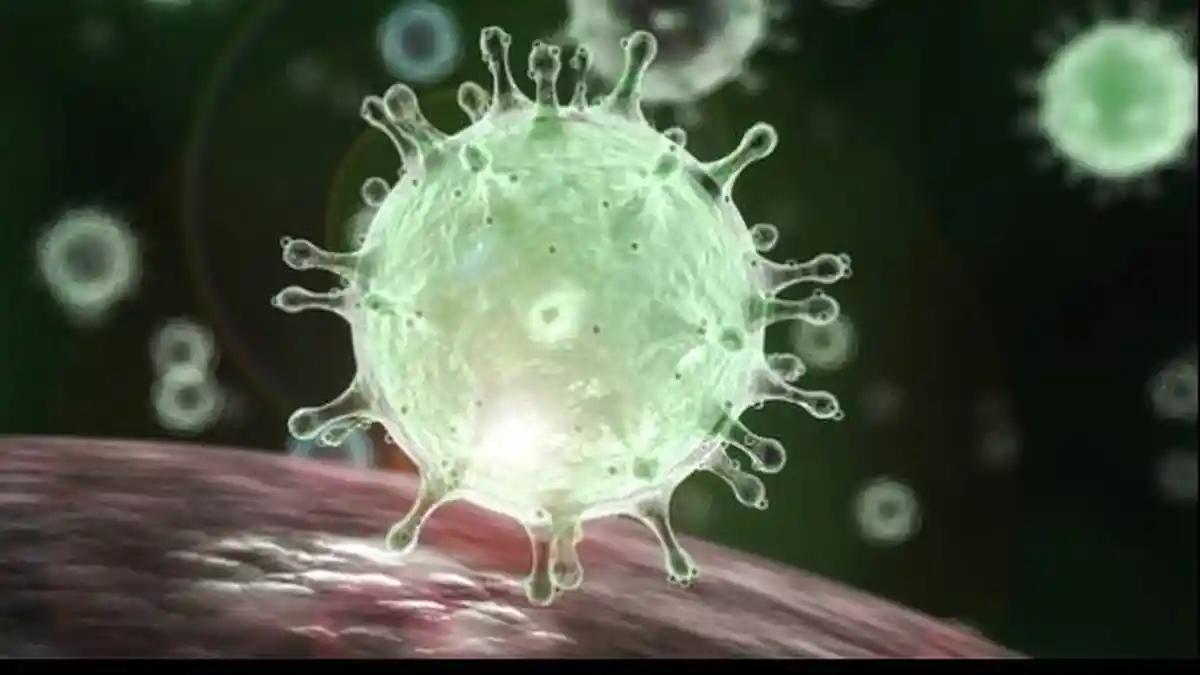 Gresik Kembali Masuk Zona Oranye Virus Corona, Orang-orang Nongkrong Lagi di Kafe dengan Live Music