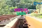 cov-kereta-api-serayu-anjlok.jpg