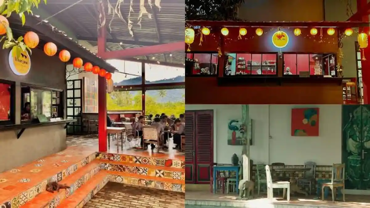 Magelang Punya Kafe Senyaman Ini, Ada Galeri Seni & Banyak Tumbuhan, 6 Menit dari Candi Borobudur