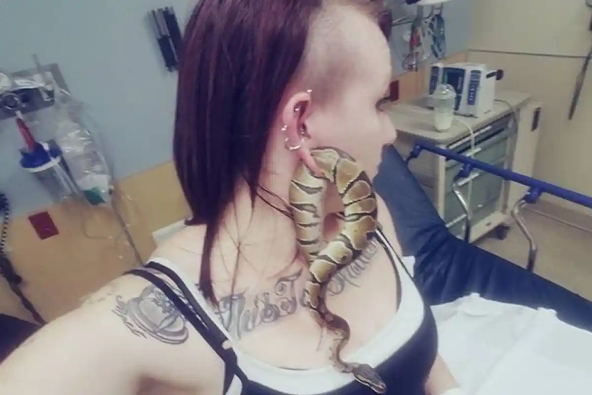 Perempuan Ini Nekat Masukkan Ular di Lubang Anting Telinganya, Lalu Malah Nyangkut