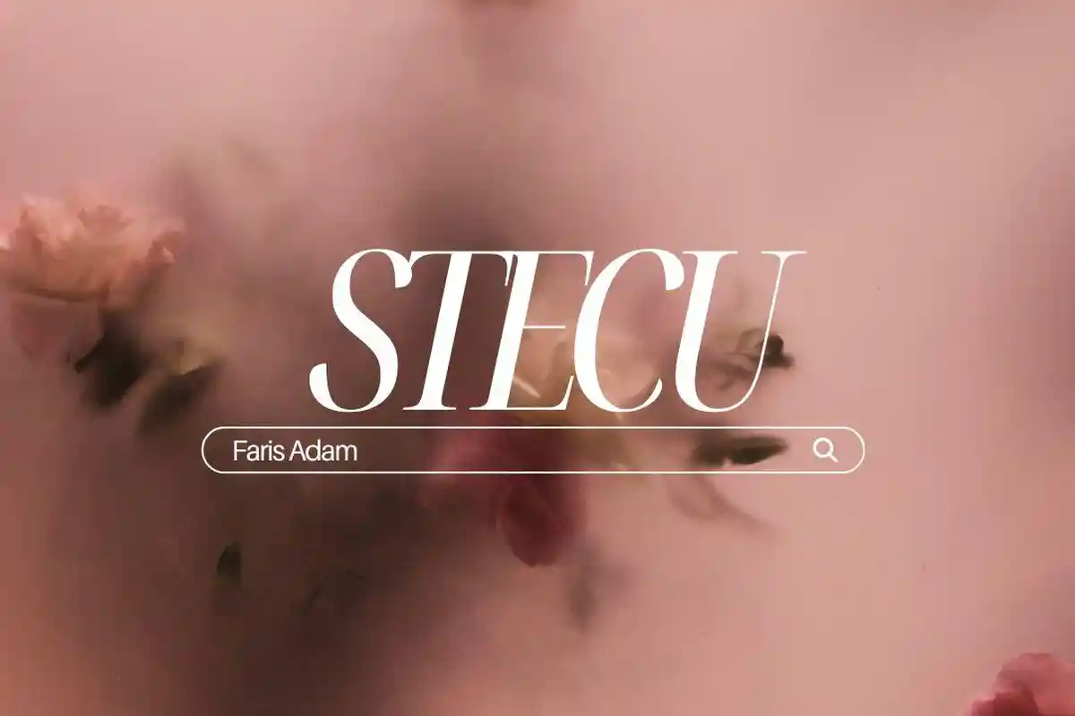 Lagu Stecu Faris Adam Viral di TikTok, Ini Arti dan Liriknya yang Wajib Kamu Tahu