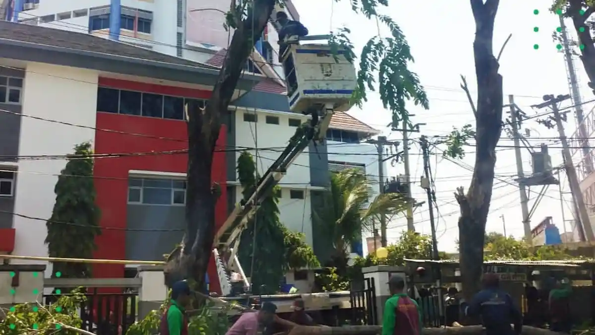 Disperkim Kota Semarang Pangkas Pohon Peneduh Jelang Musim Hujan