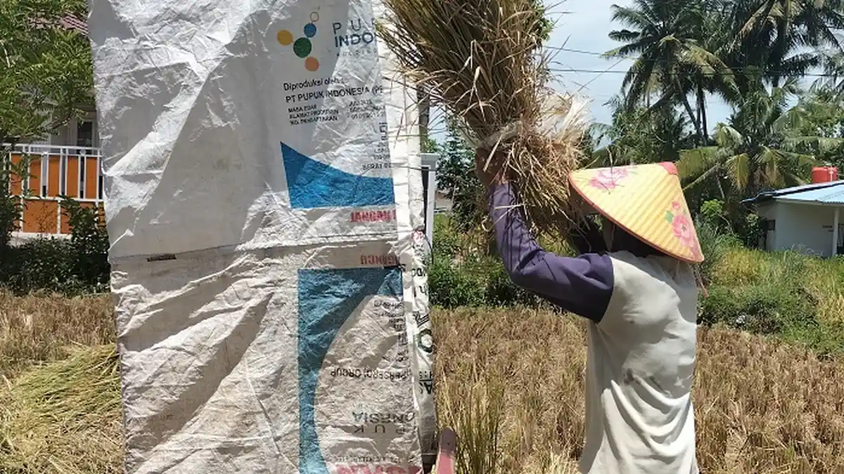 Kelas 4 Tema 8: Apa Perbedaan Petani di Daerah Dataran Rendah dan Petani di Daerah Dataran Tinggi?