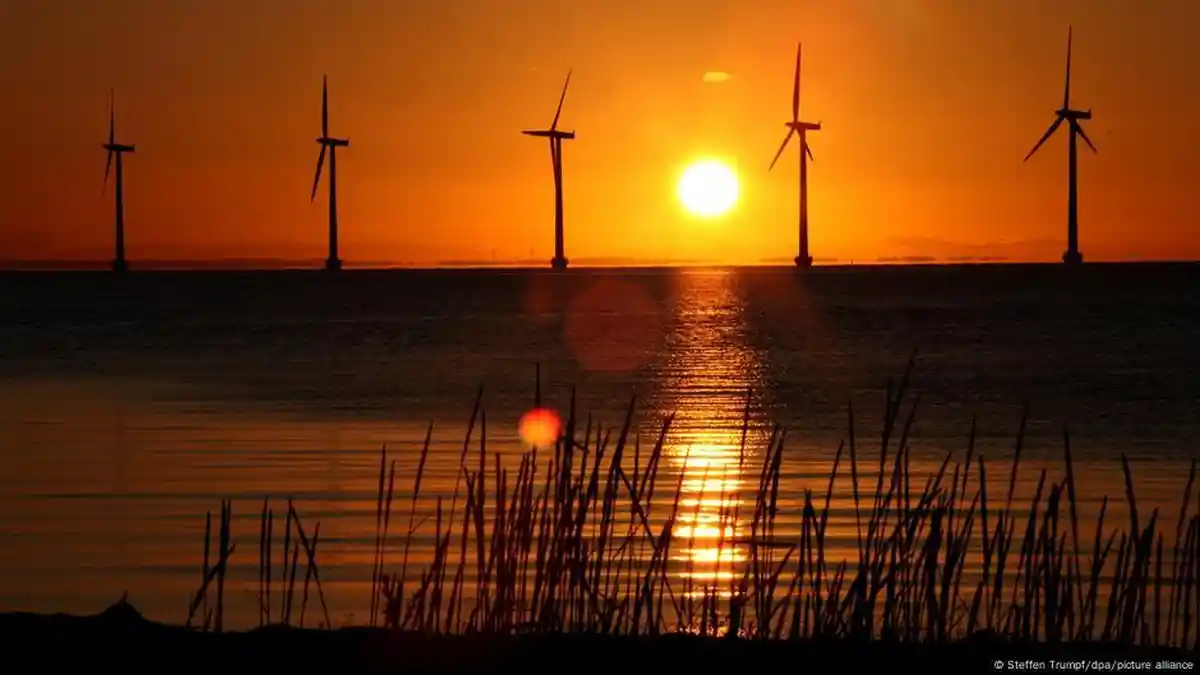 Indeks Kinerja Iklim: Produksi Energi Terbarukan Alami Lonjakan