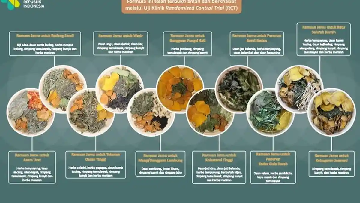 Terbukti Berkhasiat Bagi Kesehatan, Berikut 11 Resep Jamu yang Bisa Anda Coba