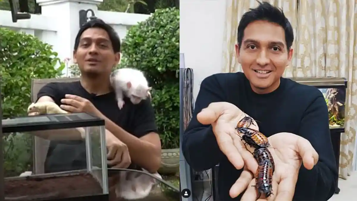 Deretan Peliharaan Lucky Hakim dari Kalajengking, Tarantula, hingga Lintah, Pamerkan Kimi & Hime