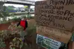 berjualan-bibit-dan-bunga-matahari-saat-pandemi_20210716_191033.jpg