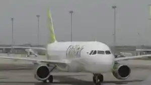 wartakota/citilink-pilot.jpg
