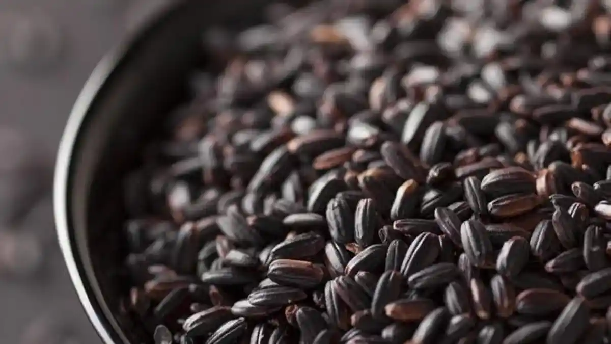 Manfaat Beras Hitam, 'Beras Terlarang' yang Kerap Dikonsumsi Bangsawan Tiongkok