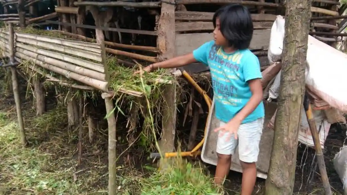 Saban Malam Janda dan Anaknya Terbiasa Dengar Kambing Mengembik