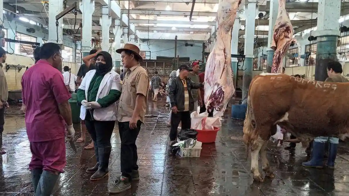 Bandung Barat Miliki Rumah Potong Hewan Modern Berstandar Nasional, Terjamin Halal dan Berkualitas