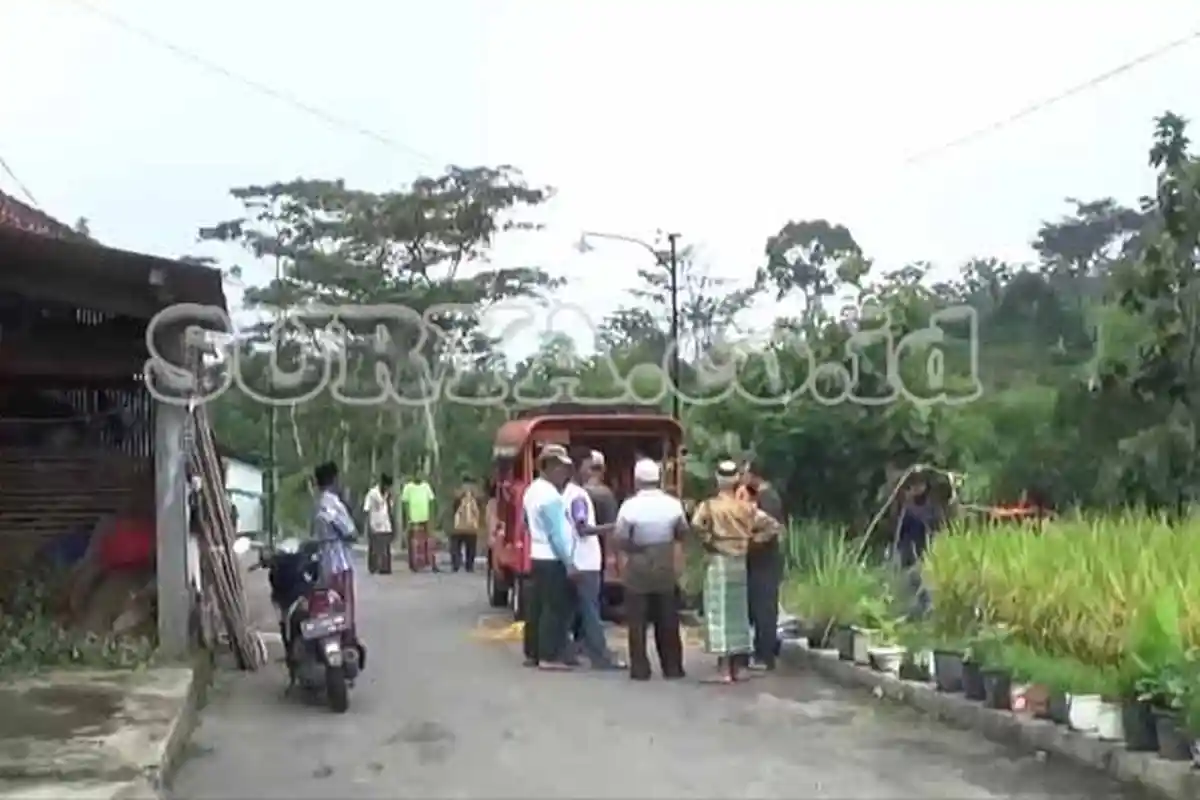 Nenek di Magetan Tewas Diserang Tawon Sliring, 8 Orang Lainnya Dirawat di RS, Warga Geger