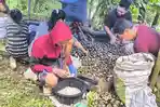 Manis untuk Berbuka, Pahit di Hulu: Cerita Produsen Kolang-Kaling Purwakarta Sulit Cari Bahan Baku