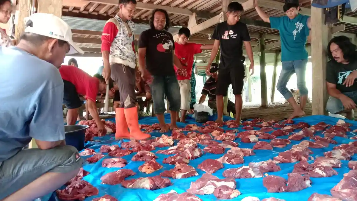 Jumlah Hewan Kurban Warga Kulinjang Enrekang Berkurang Tahun Ini
