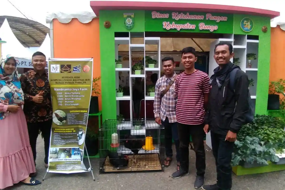 HJF Gunakan Probio FM dari Unja untuk Ternak Ayam yang Lebih Sehat