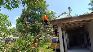Petugas-BPBD-Kabupaten-Blitar-Potong-pohon-tumbang.jpg