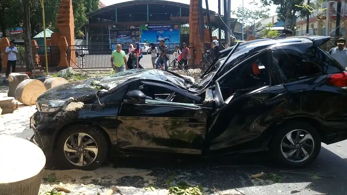 Satu Tewas dan Satu Luka Berat Tertimpa Pohon Tumbang di Cirebon
