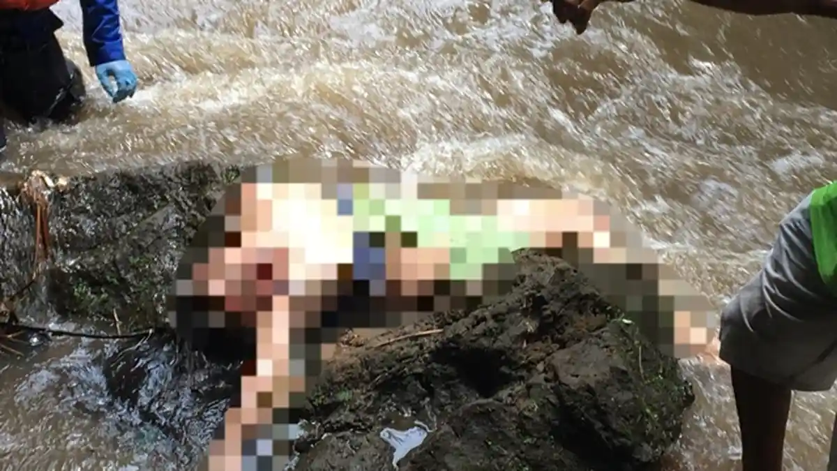 BREAKING NEWS : Mayat Perempuan Ditemukan Mengambang di Sungai di Magelang, Diduga Terpeleset