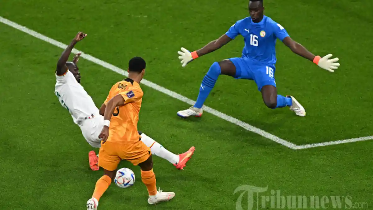 Prediksi Laga Piala Dunia 2022, Qatar vs Senegal, Singa dari Teranga Lebih Dijagokan