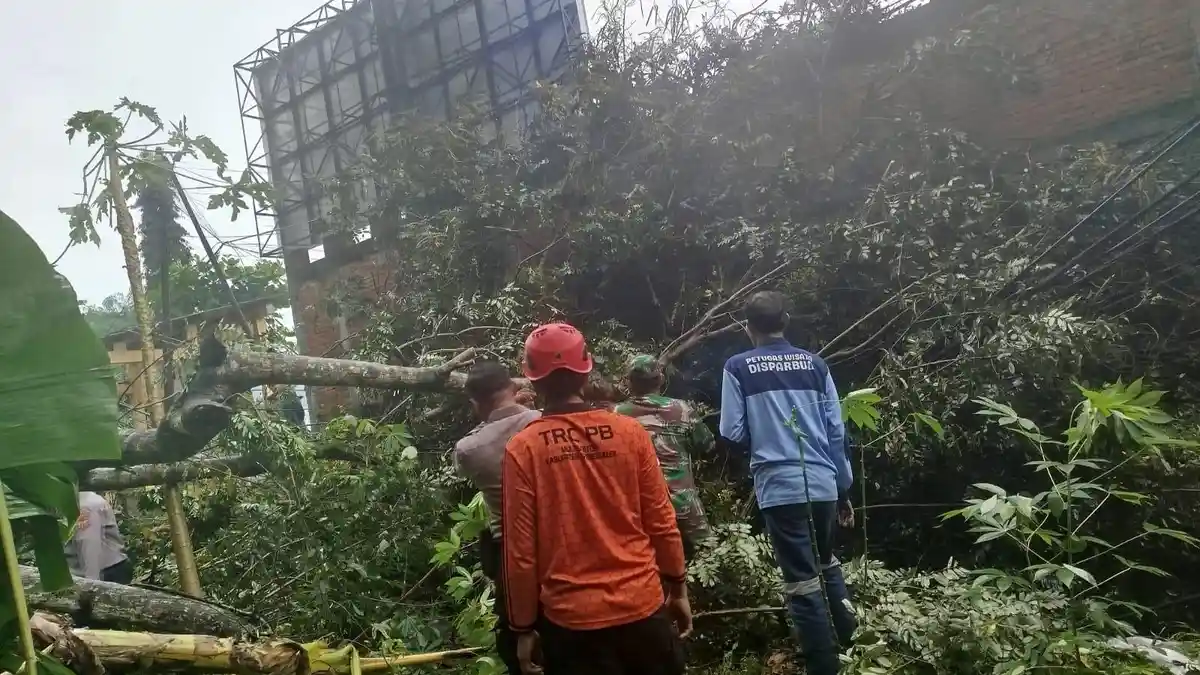 Pohon dan Tiang Listrik Timpa Rumah Warga Ngantru Trenggalek