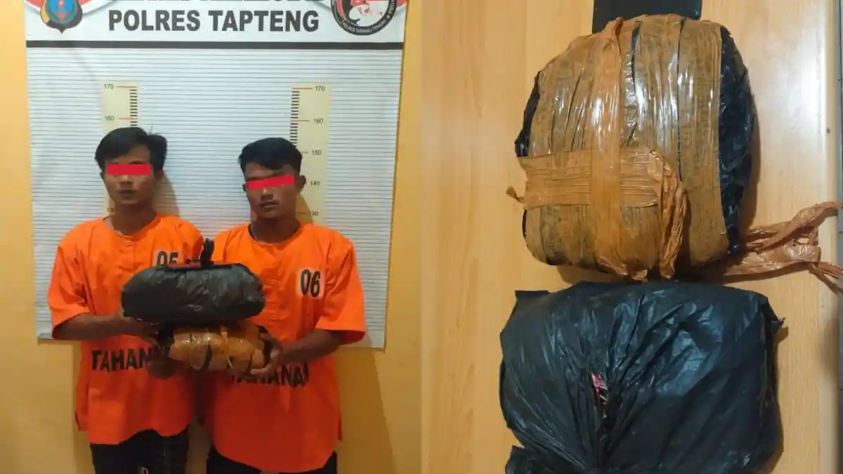 Dua Pemiik Ganja 1,7 Kg Diamankan Satnarkoba Polres Tapteng dari Jembatan Kembar Pinangsori