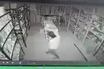 Polisi-Ungkap-Cara-Kerja-Komplotan-Maling-di-Denpasar-Bali-Intai-Lokasi-CCTV-Kunci-Penangkapan.jpg
