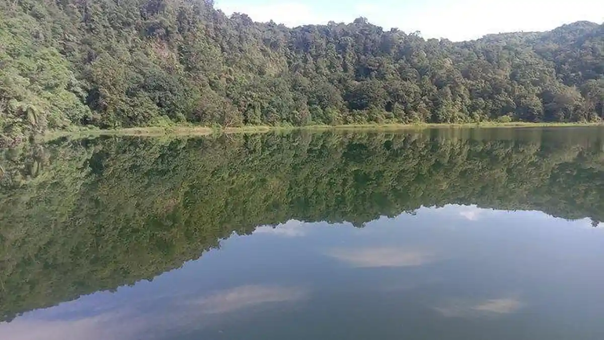 Kemarau Panjang, Debit Air di Danau Ranamese Manggarai Timur Turun