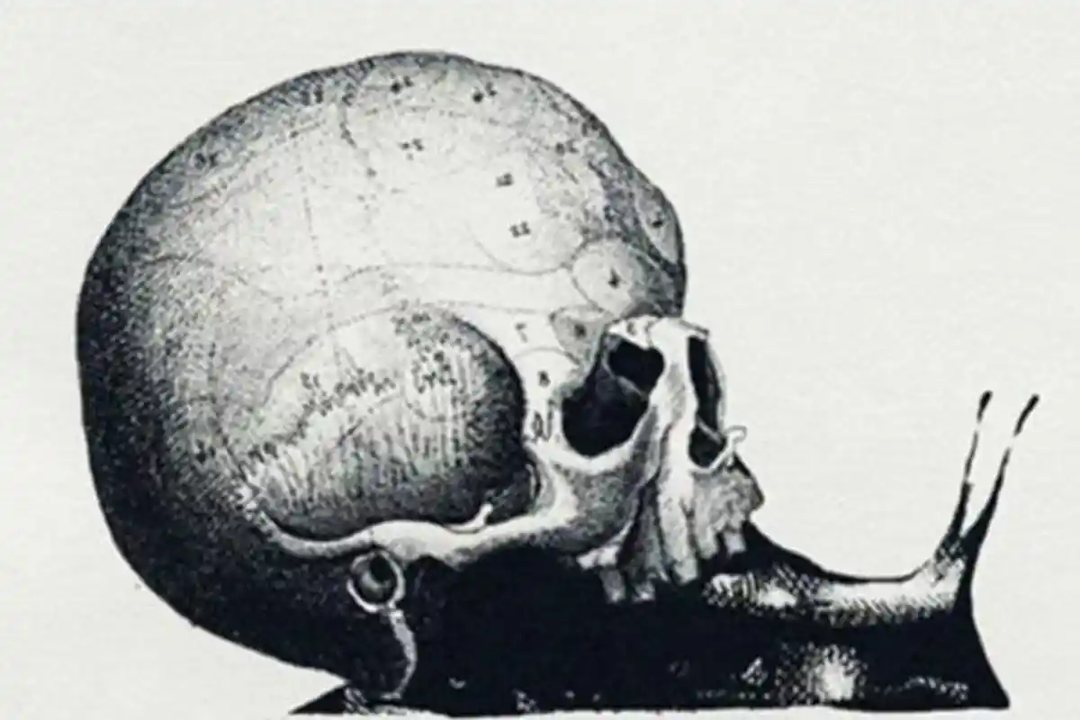 Tes Kepribadian: Gambar Apa yang Kamu Pertama Kali Dilihat Bisa Ungkap Pekerjaan yang Cocok untukmu