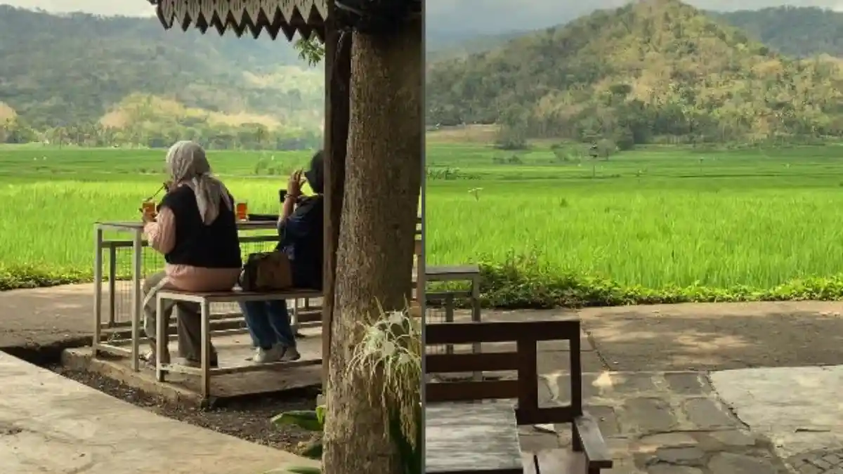 Kulon Progo Jogja Punya Restoran Keluarga Nuansa Alam yang Sejuk View Sawah, Ada Hidangan Khas Desa