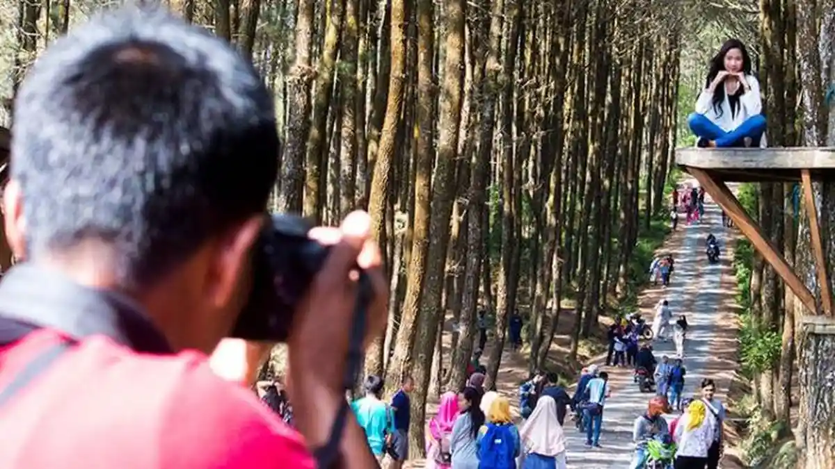 Hutan Pinus Seestetik Ini Cuma 11 Menit dari Ketep Pass Magelang, Dilengkapi Fasilitas Outbound