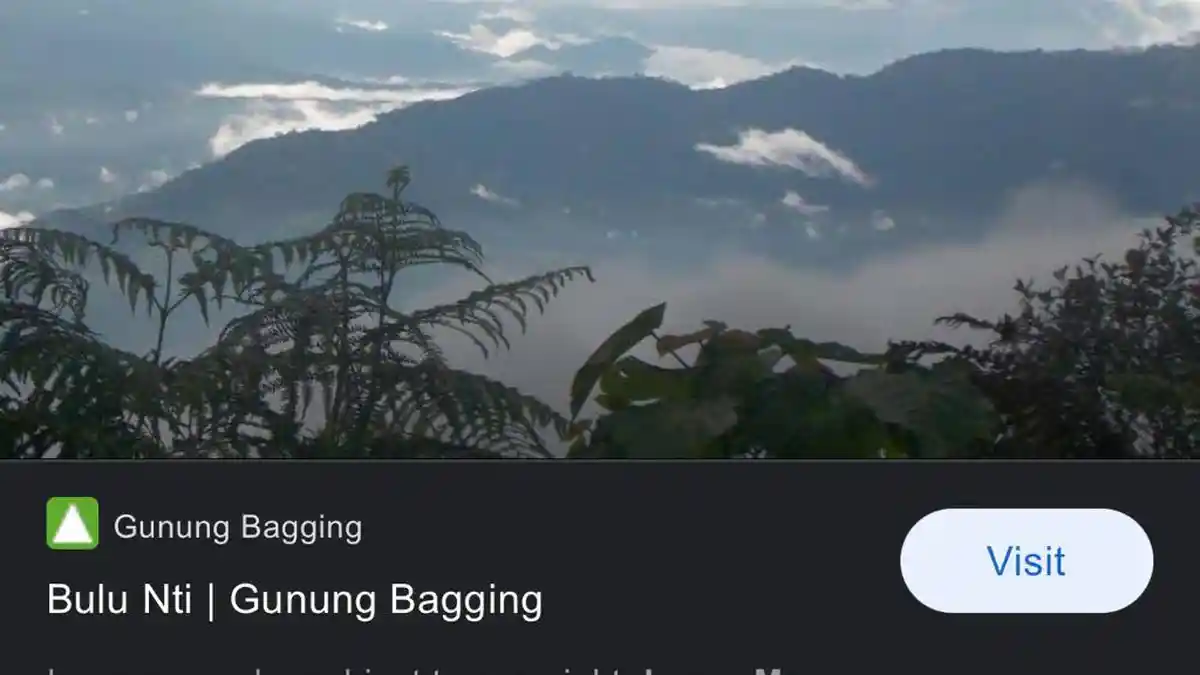 BREAKINGNEWS: 5 Mahasiwa Geologi Untad Palu, Sudah 7 Hari Hilang di Bulu Nti Sigi