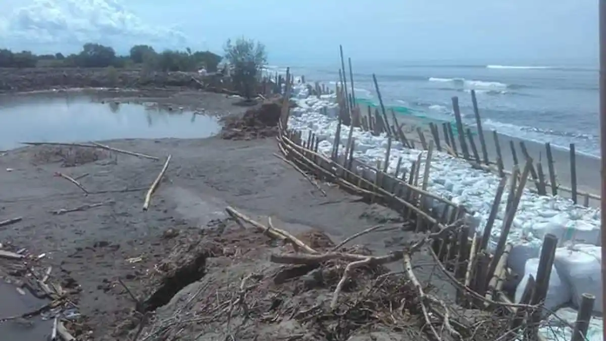 Tergerus Ombak, Puluhan Hektar Tambak di Area Pesisir Pantai Pinrang Rusak