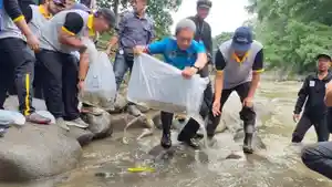 bibit-ikan-ditebar-di-sungai-ciliwung.jpg