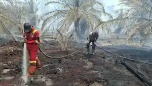 pendinginan-di-lokasi-Karhutla-Desa-Pulau-Muda.jpg