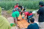 Warga Ngemplak Lor Pati Ini Ditemukan Meninggal di Area Pembuatan Batu Bata