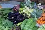 Sayuran-yang-dijual-di-Pasar-Gembrong-Sukasari-Kota-Bogor-Tauge-kini-langka-di-pasar.jpg