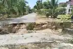 Sudah 3 Bulan Ambruk, Jembatan di Dusun 4 Gosong Telaga Barat belum Kunjung Diperbaiki