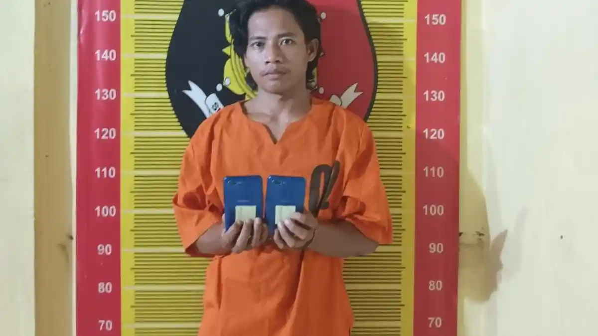 FR Mencur HP Saat Pintu Rumah Korbannya Terbuka, Diciduk Tim Walet Polres Padangsidimpuan