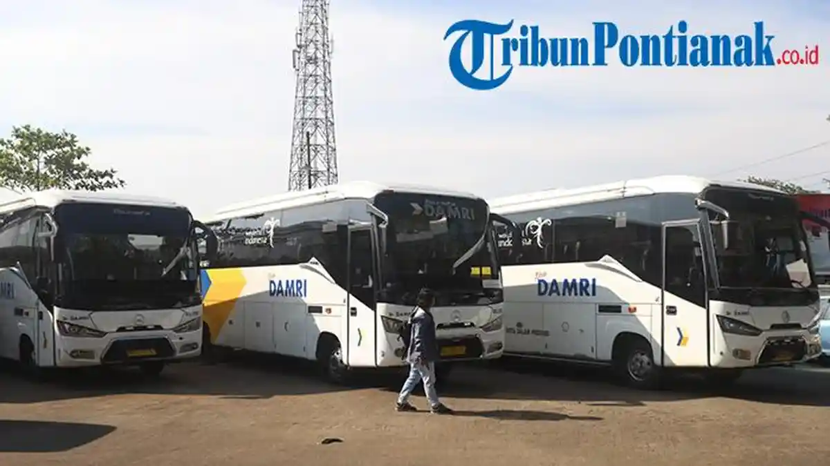 Damri Rencanakan Buka Rute Bus Supadio-Pontianak, Satarudin: Harus Dikaji