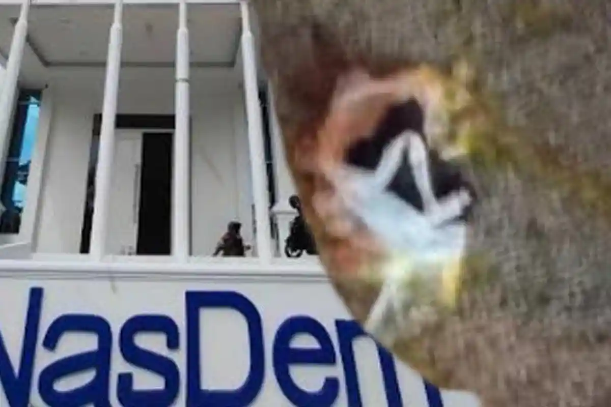 Jalan Santai Bersama Anies Diwarnai Pelemparan Telur Busuk di Kantor DPW Partai NasDem Aceh