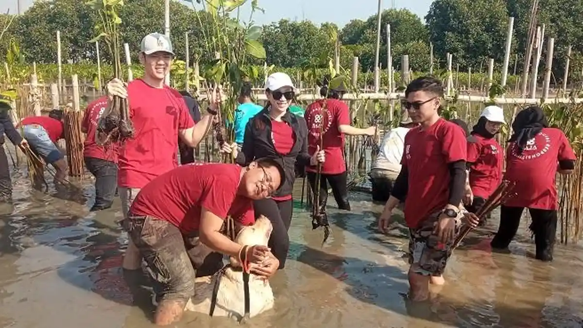 Aksi Baja 88 Home Solution, Tanam 3000 Bibit Mangrove Atasi Dampak Abrasi di Tambakrejo Semarang